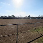 Deshalb wünscht sich der SV, Abteilung Fußball, die Umwandlung des bestehenden Hartplatzes in einen Kunstrasen, weil pflegleicht und nahezu ganzjährig - wie in Büttelborn und Worfelden - bespielbar.